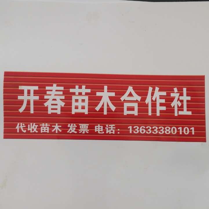 '博野开春苗木娄磊'头像