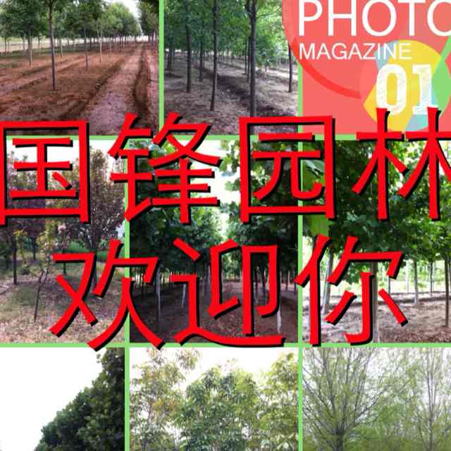 '没有了'头像