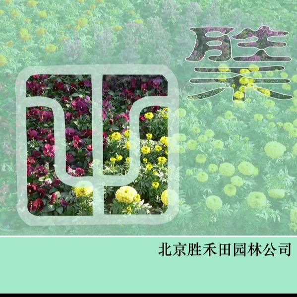 '北京胜禾田园林有限公司'头像