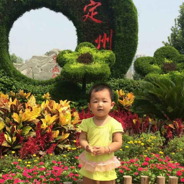 '北京市管通市政园林绿化中心'头像
