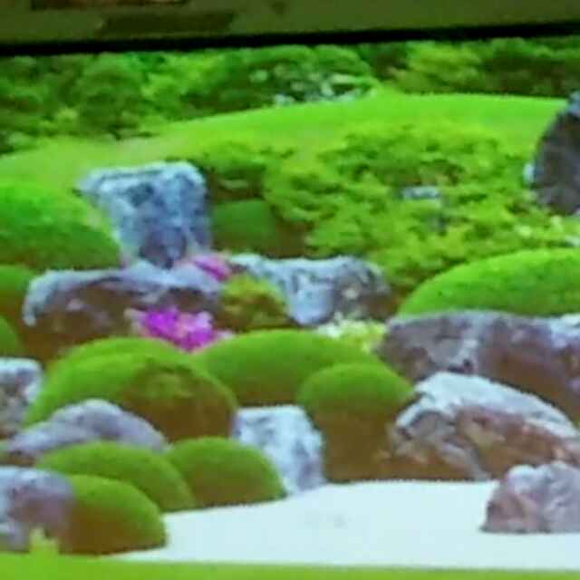 '北京兴隆盛世农业发展有限公司'头像
