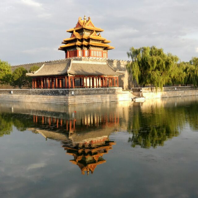 '南阳李'头像