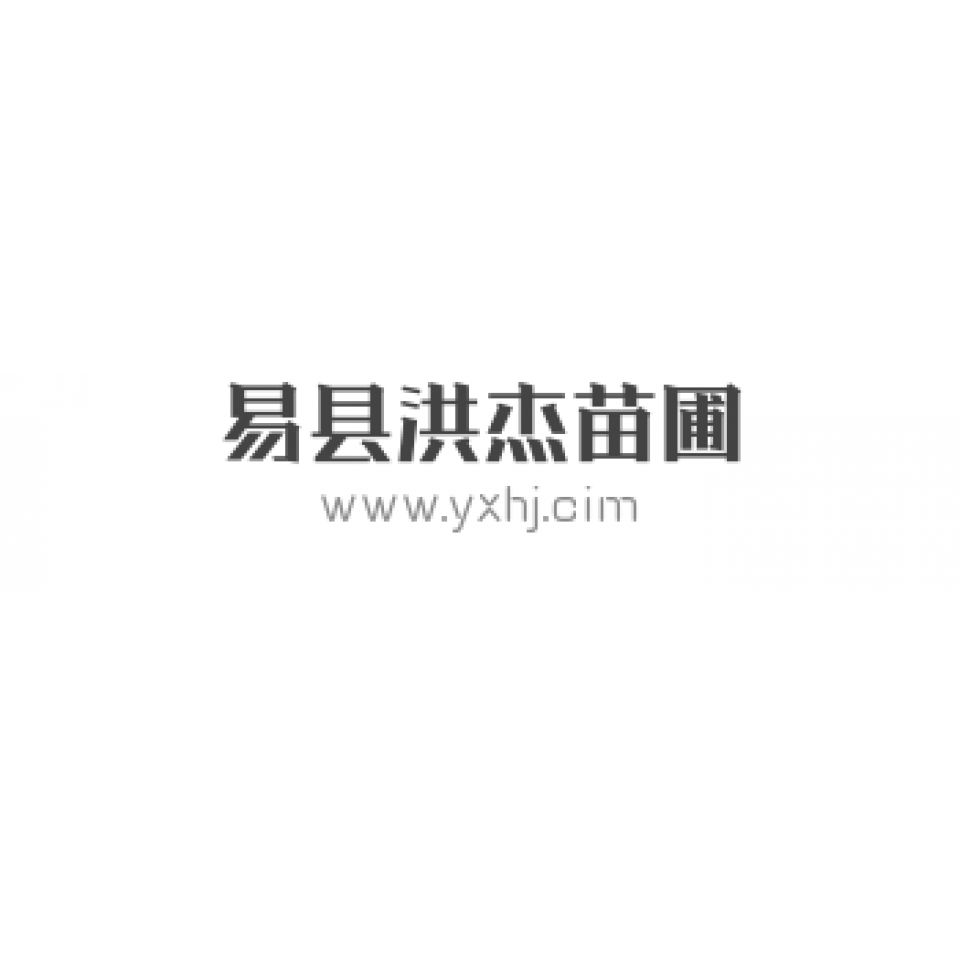 '易县洪杰苗圃场'头像