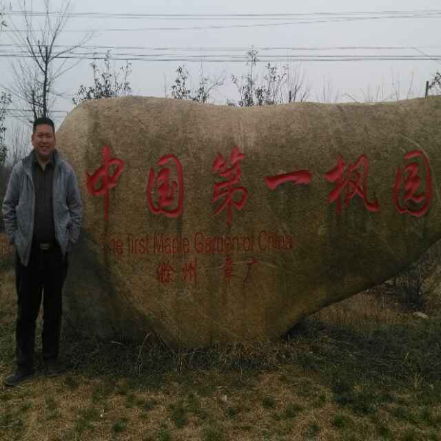'菏泽昊森苗木'头像
