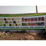 '李志国鑫茂苗木公司'头像
