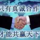 '王欣'头像