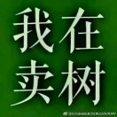 '晨曦园林'头像