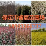 '杨浩洋'头像