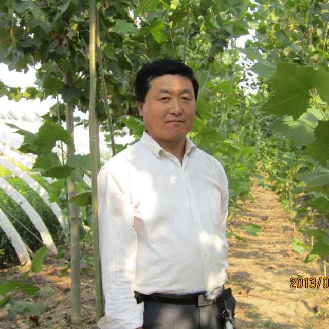 '山东省冠县鲁冠花木郭相君'头像