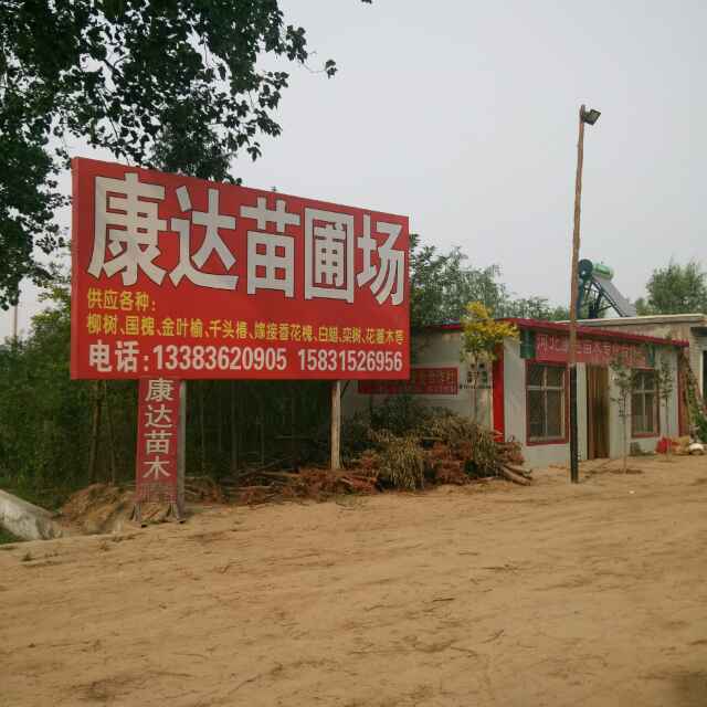'河北保定康达苗圃场胡录康'头像