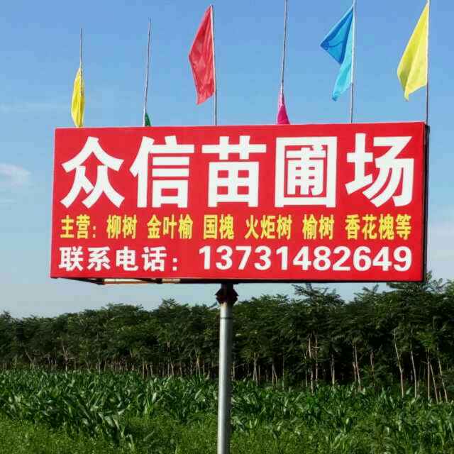 '河北省博野县众信苗圃场'头像