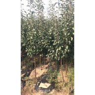 '杨斌'头像