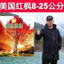 '沈阳佳沅苗木繁育有限公司'头像