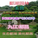 '鄱湖园林'头像