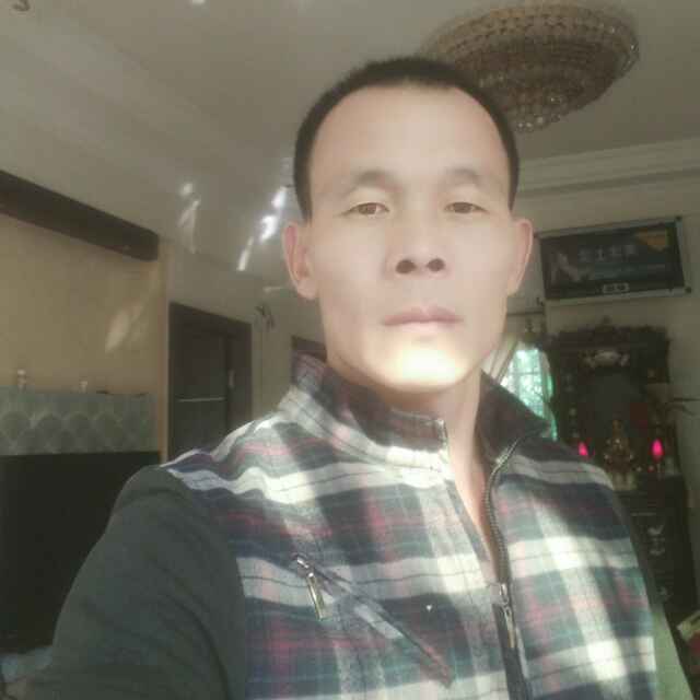'找树网'头像