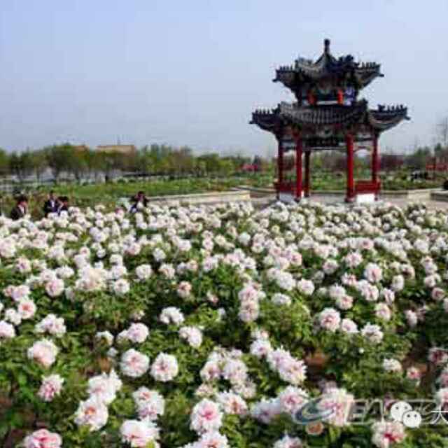 '山东万路达园林科技有限公司，李先生。'头像