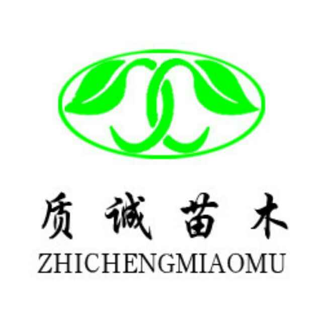 '质诚苗木'头像