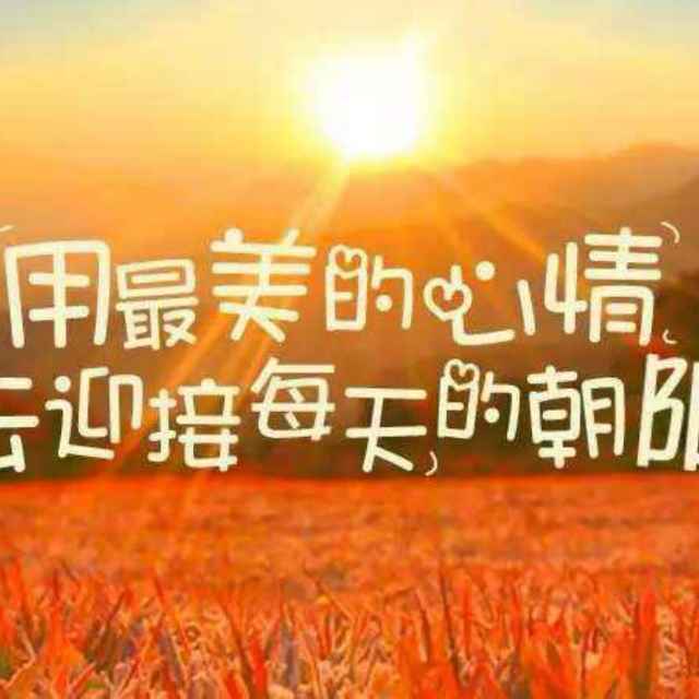 '山东省高唐县茂苑苗木陈宝泉1846353'头像