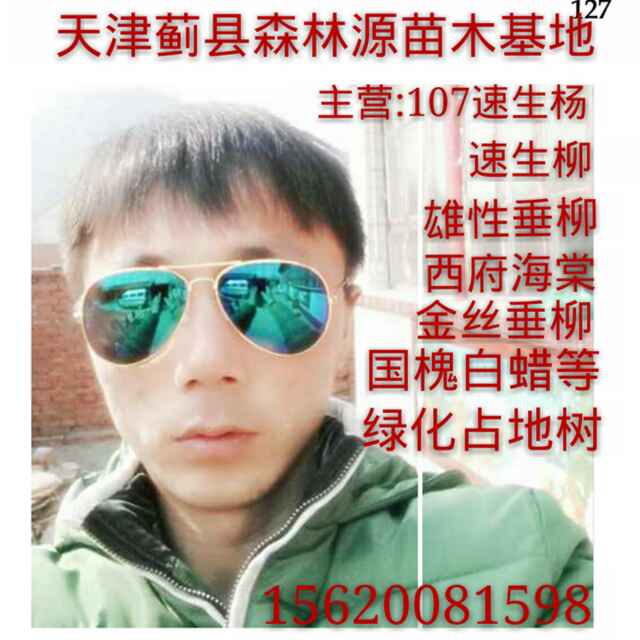 '天津蓟县森林源苗木基地大'头像