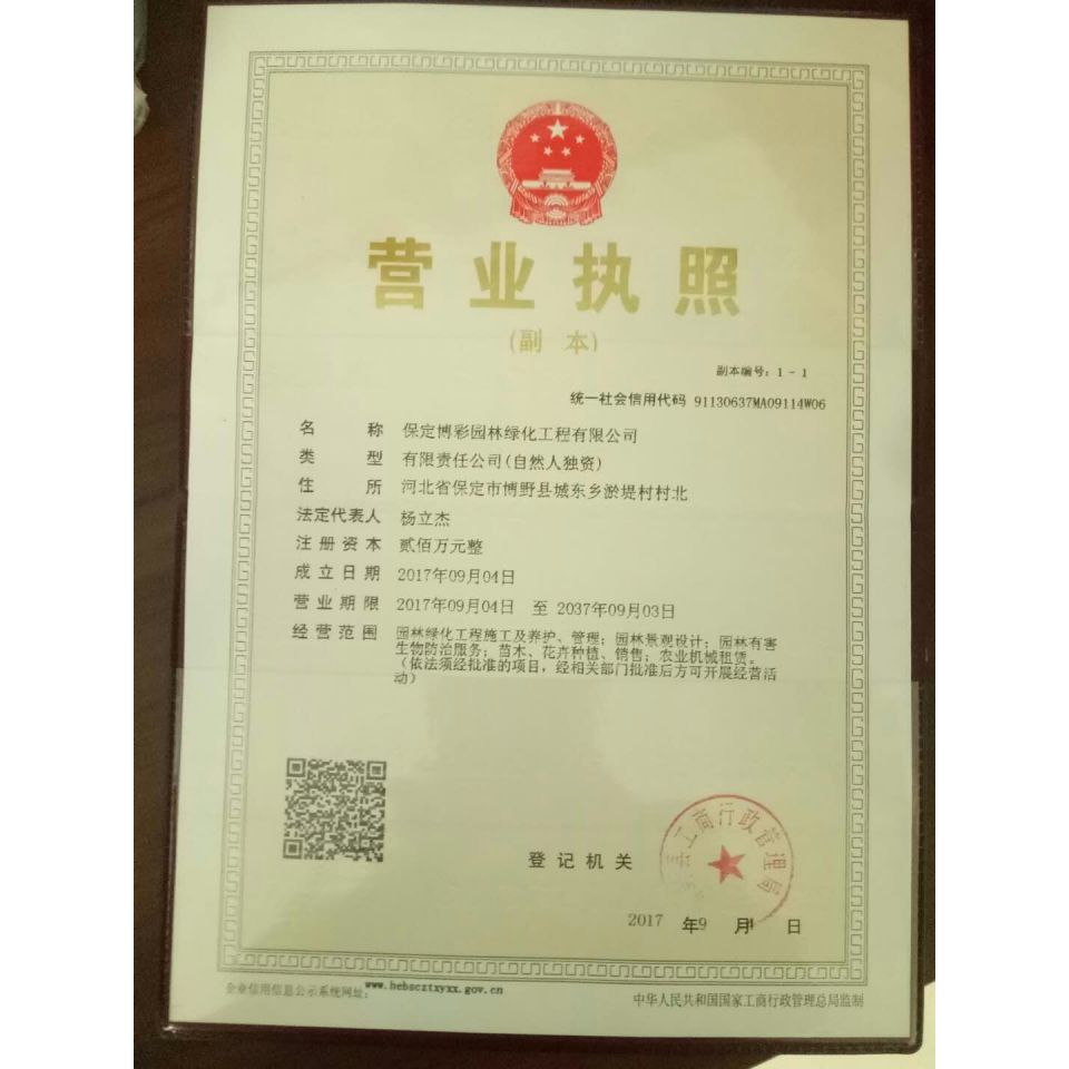 '河北保定博彩园林'头像
