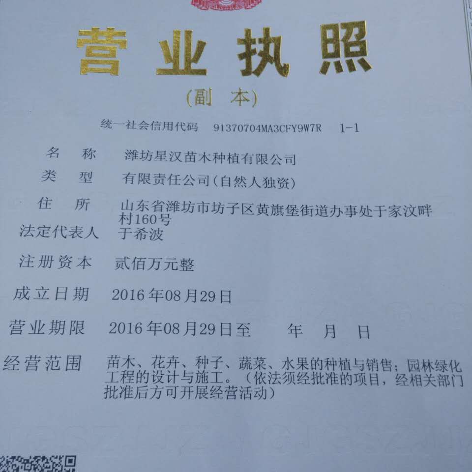 '潍坊星汉苗木种植有限公司'头像