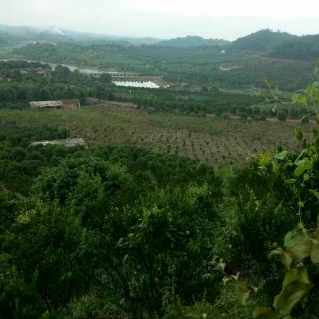 '江西龙冠果业开发有限公司'头像