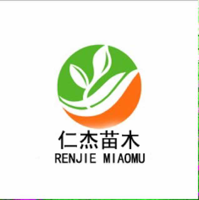 '甘肃仁杰苗木'头像