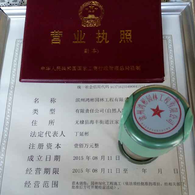 '丁延彬'头像