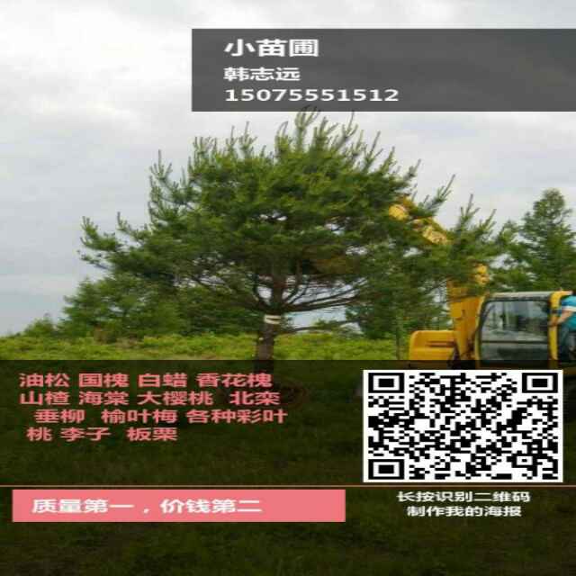 '韩志远'头像