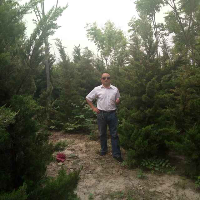'正泽苗木种植专业合作社     赵崇印'头像