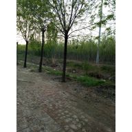 '马云波'头像