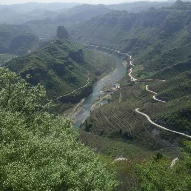 '山西绛县苗木李杰'头像