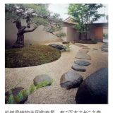 '北京北国绿园林绿化工程有限公司'头像