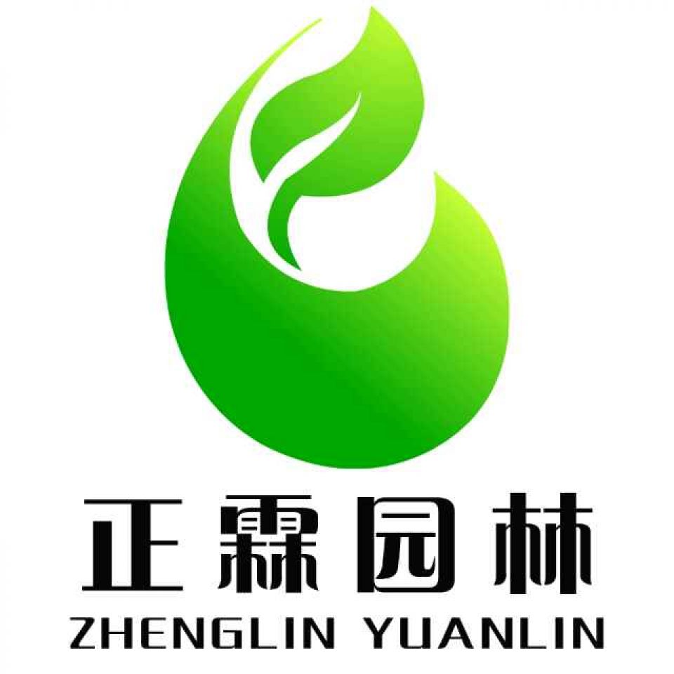 '定州市正霖园林绿化工程有限公司'头像