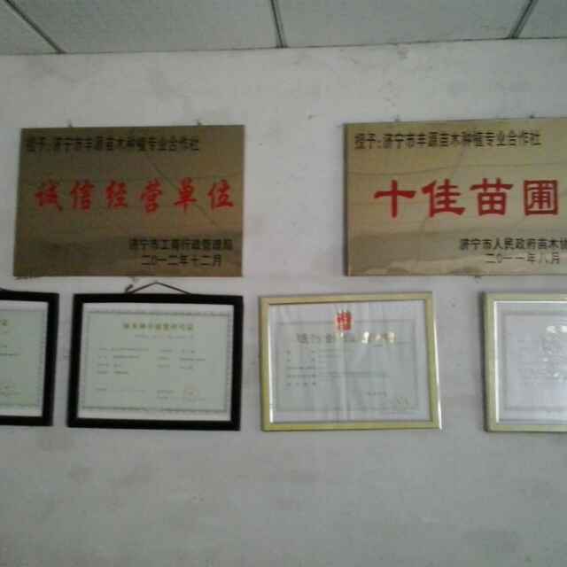 '山东济宁孟氏园林种植基地'头像
