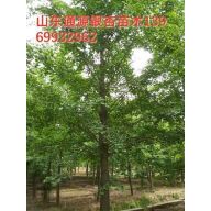 '赵敬全'头像
