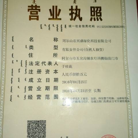 '王强'头像