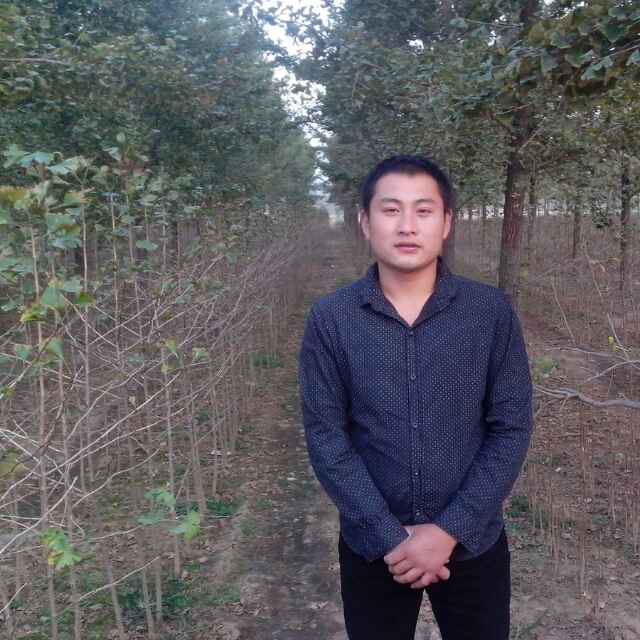 '汪鑫'头像