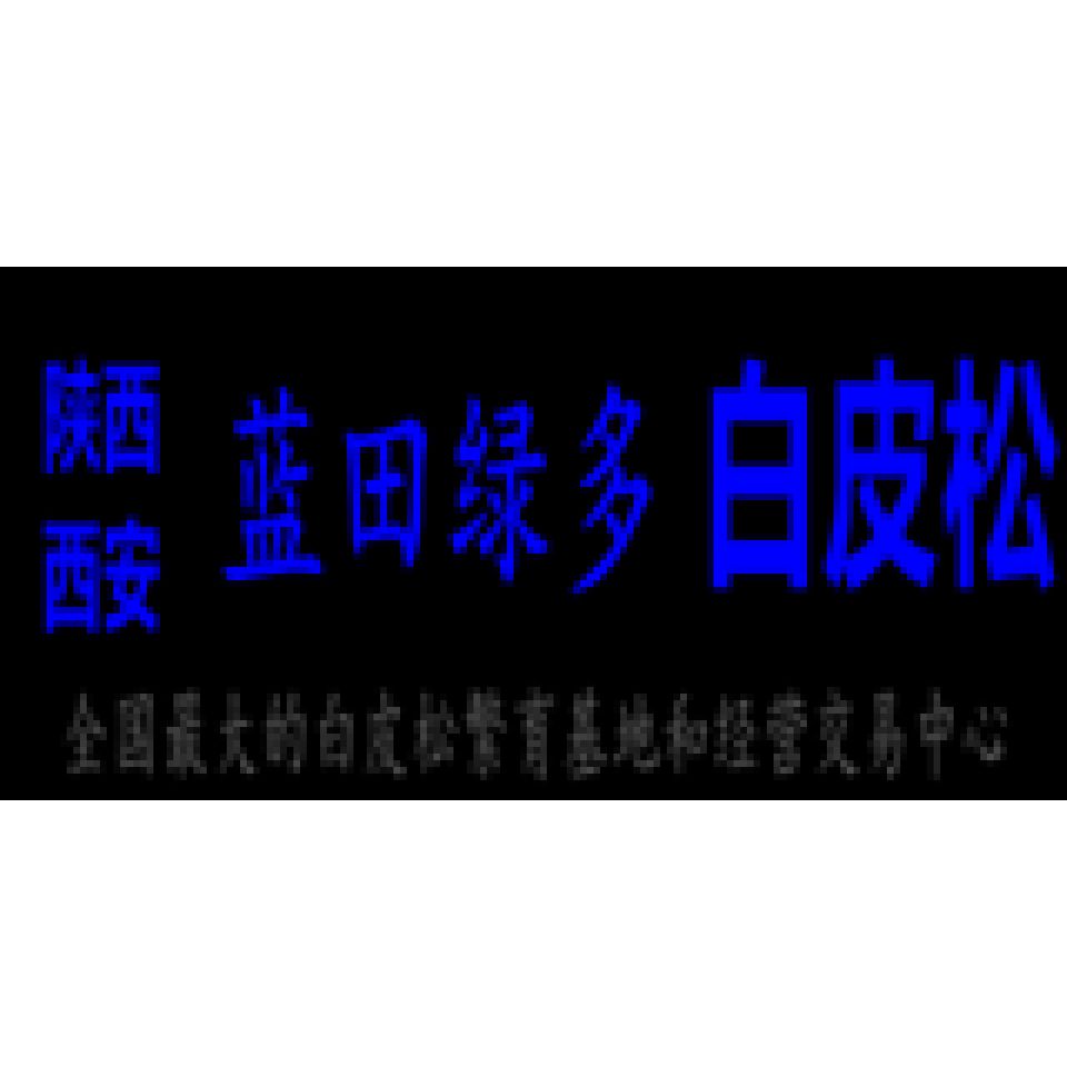 '蓝田绿多白皮松'头像
