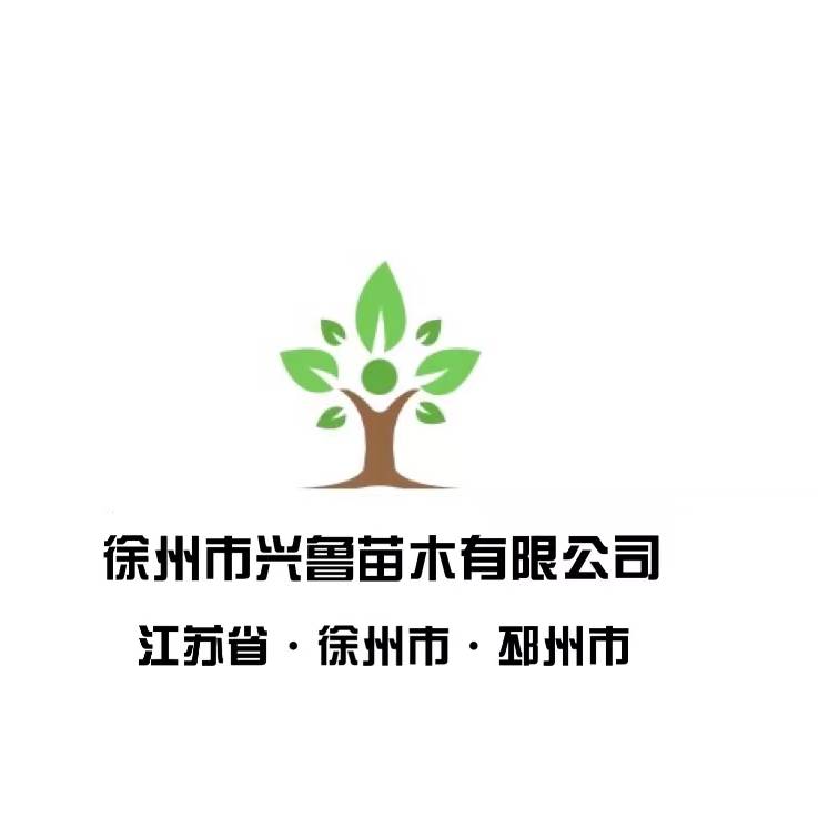 '徐州市兴鲁苗木有限公司'头像