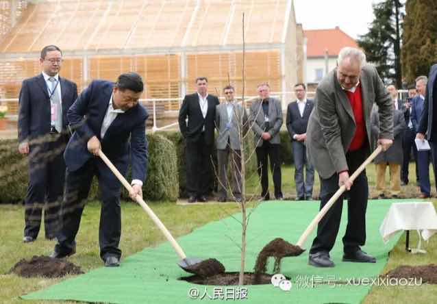 '邳州鹏瑞苗木合作社'头像