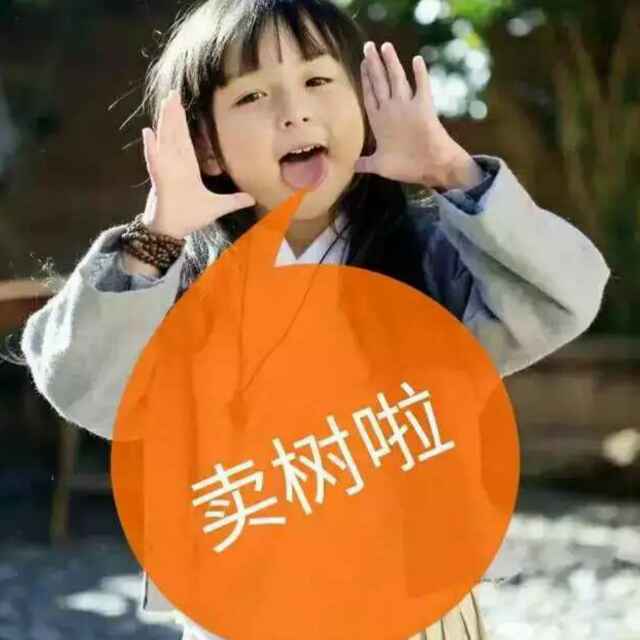 '山东冠县王月锋'头像