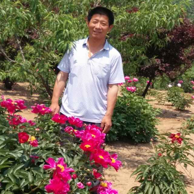 '王太荣'头像