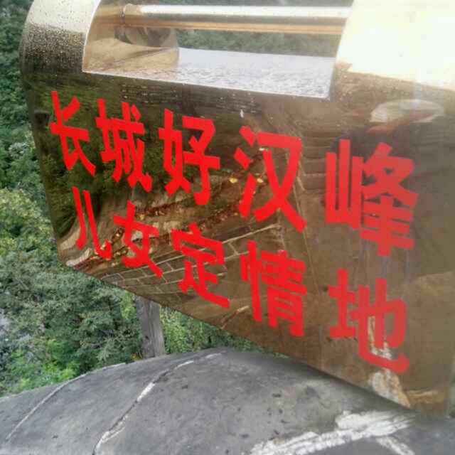 '保定友谊苗圃'头像