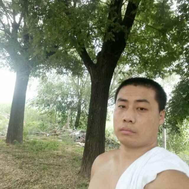 '衡水景西园林郭猛龙'头像