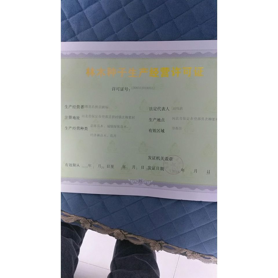 '望都县浩然苗圃场'头像