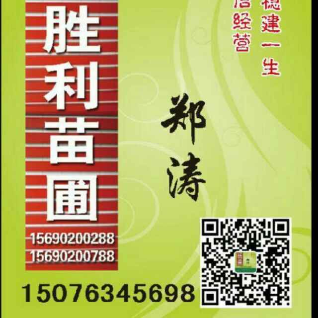 '郑涛'头像