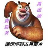 '古月苗木'头像