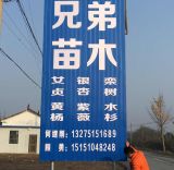 '江苏省盐城东台市兄弟苗木'头像