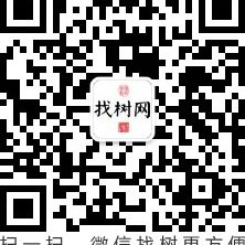 '山东高唐金叶榆'头像